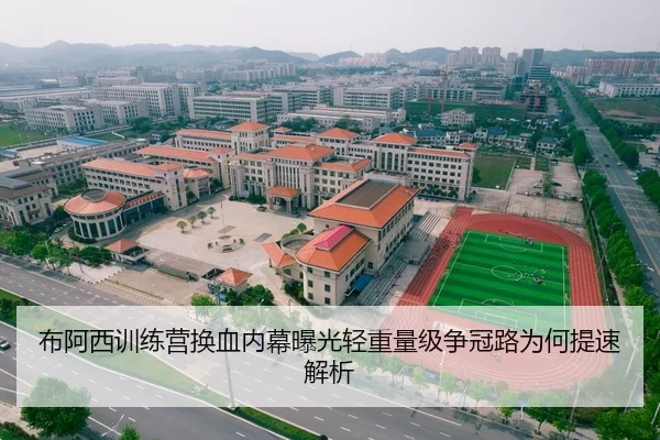 布阿西训练营换血内幕曝光轻重量级争冠路为何提速解析