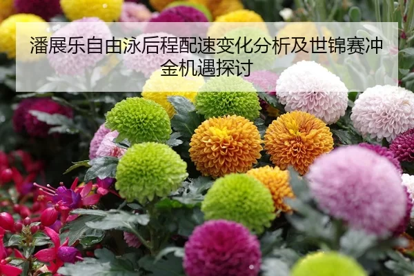 潘展乐自由泳后程配速变化分析及世锦赛冲金机遇探讨