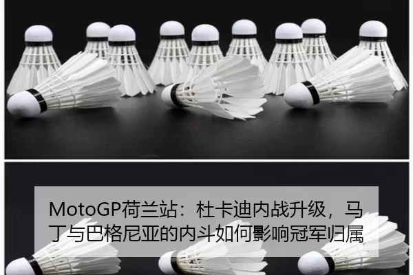he-lan-zhan-du-ka-di-nei-zhan-sheng-ji-ma-ding-yu-ba-ge-ni-ya-de-nei-dou-ru-he-ying-xiang-guan-jun-gui-shu-2-311.jpg