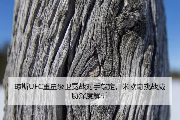 qiong-si-zhong-liang-ji-wei-mian-zhan-dui-shou-qiao-ding-mi-ou-qi-tiao-zhan-wei-xie-shen-du-jie-xi-2-296.jpg