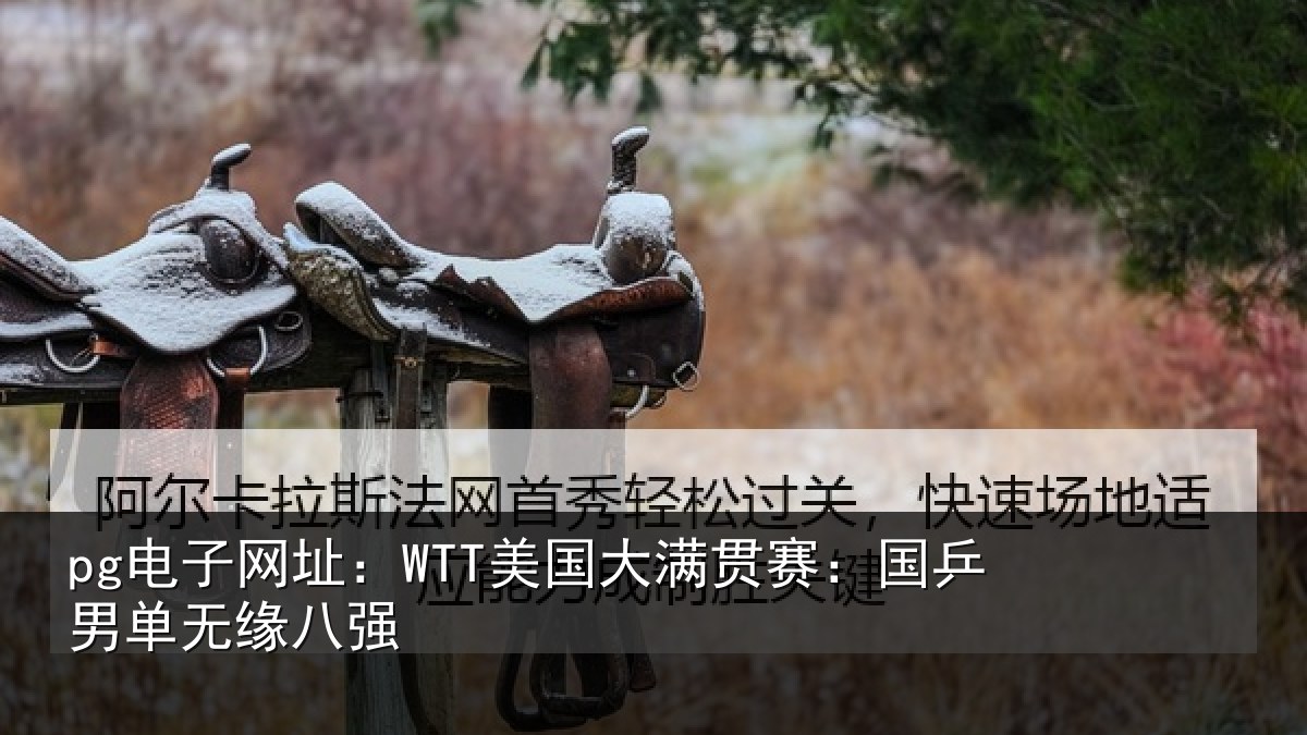 pg电子网址：WTT美国相关情况无缘八强