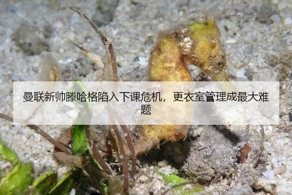 man-lian-xin-shuai-teng-ha-ge-xian-ru-xia-ke-wei-ji-geng-yi-shi-guan-li-cheng-zui-da-nan-ti-3-174.jpg